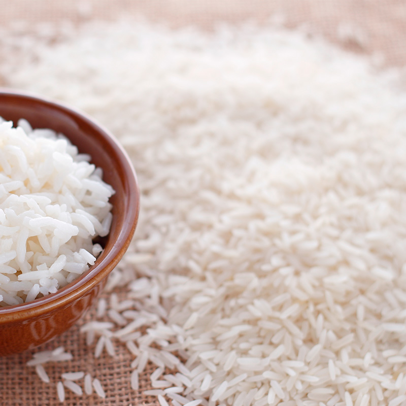 Proteína hidrolizada de arroz
