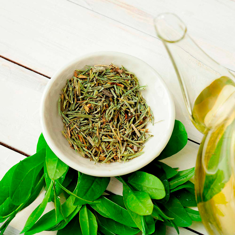 Aceite esencial de té verde